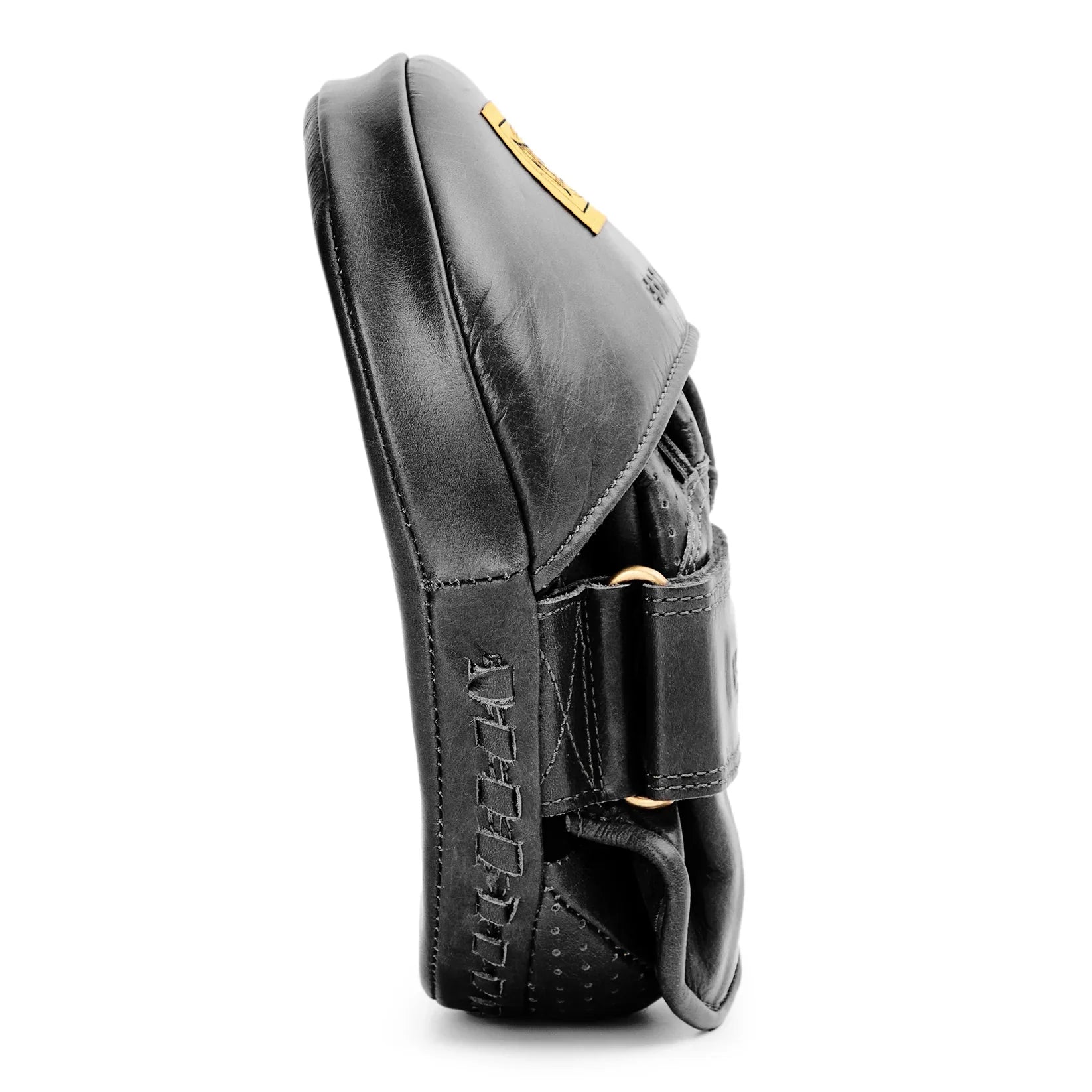 1910 Pro Leather Curved Focus Mitts