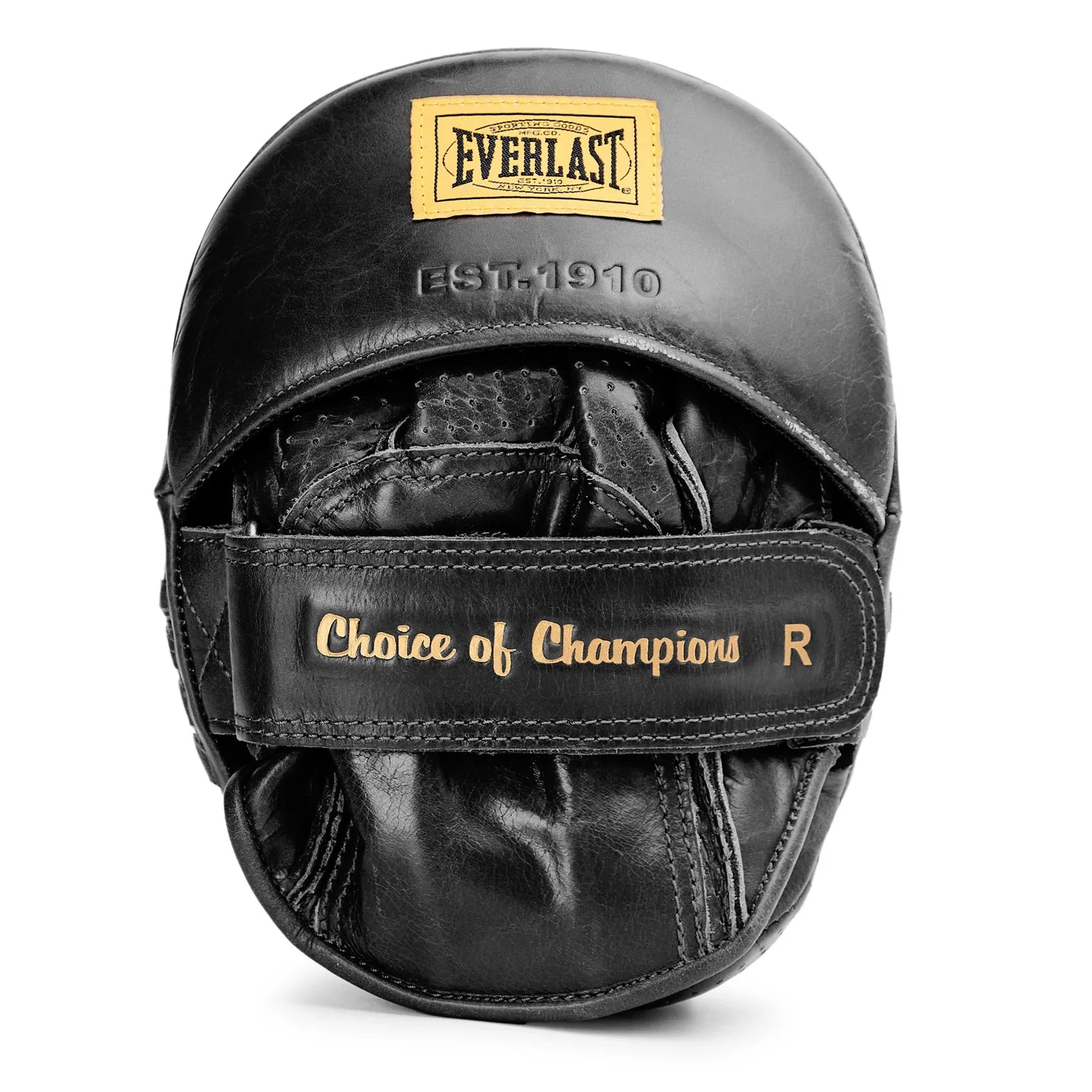 1910 Pro Leather Curved Focus Mitts