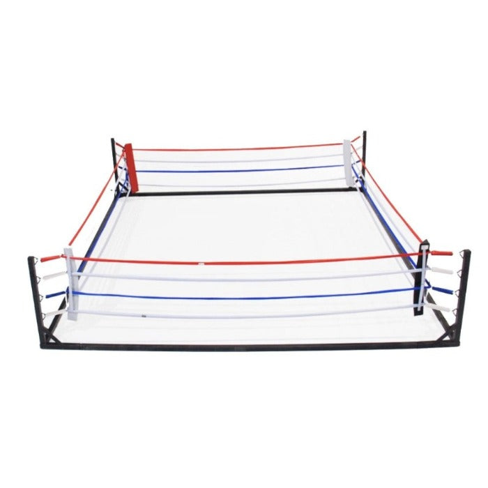 Prolast Boxing Floor Ring 10' x 10