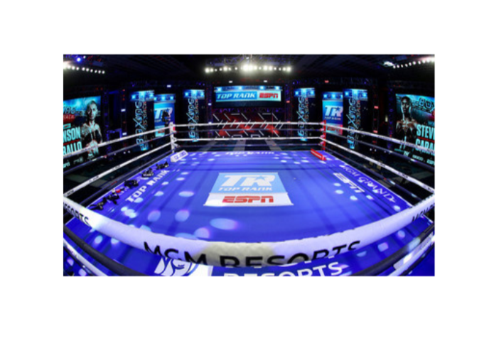 Pro Fight Music Video Boxing Ring Rental