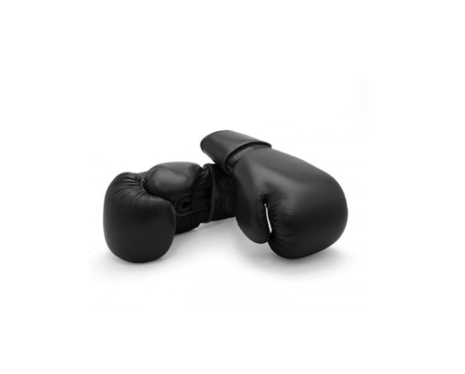 Prolast Economy Leather Boxing Glove