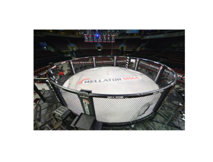 Pro MMA Circular Cage