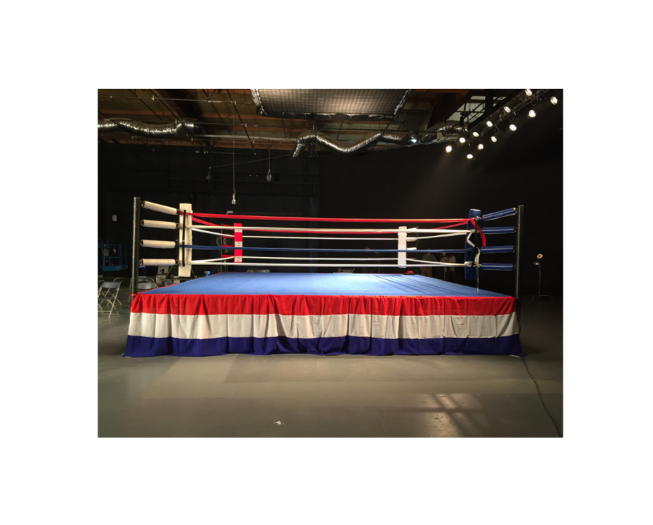 Pro Elite Boxing Ring Fight Night Series