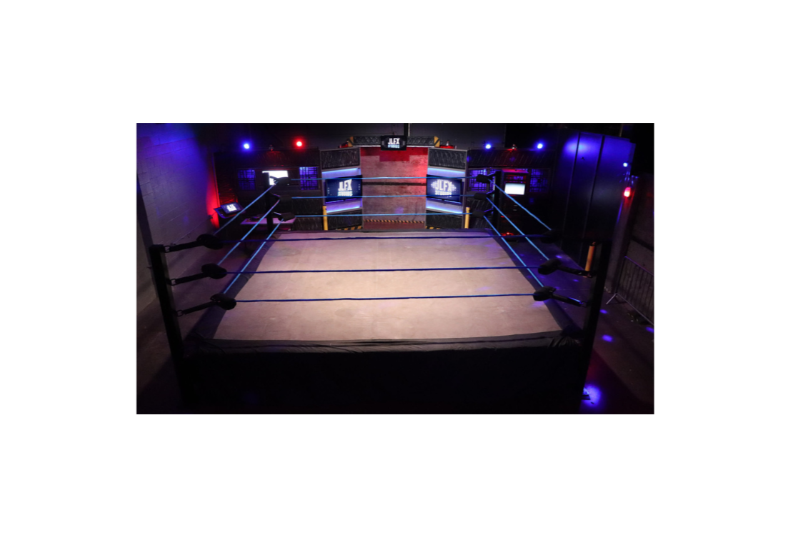 Prolast Wrestling Ring 16' X 16'