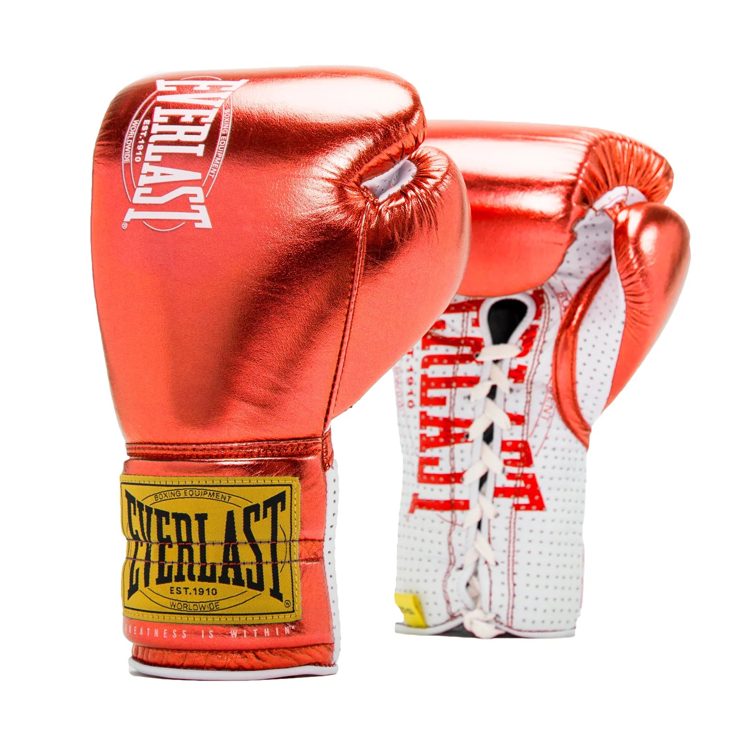 Everlast 1910 Classic Fight Gloves